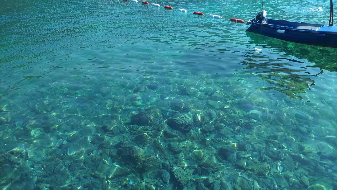Apartmani Jovanovic Luštica Exterior foto